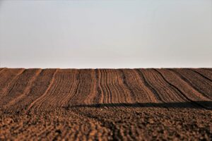 高還元クレジットカードでVポイントを最大化する方法は？