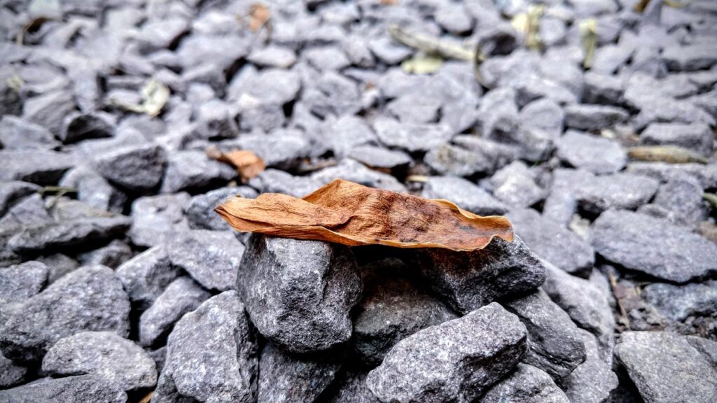 waonのチャージでお得にポイントを貯める方法は？