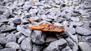 waonのチャージでお得にポイントを貯める方法は？