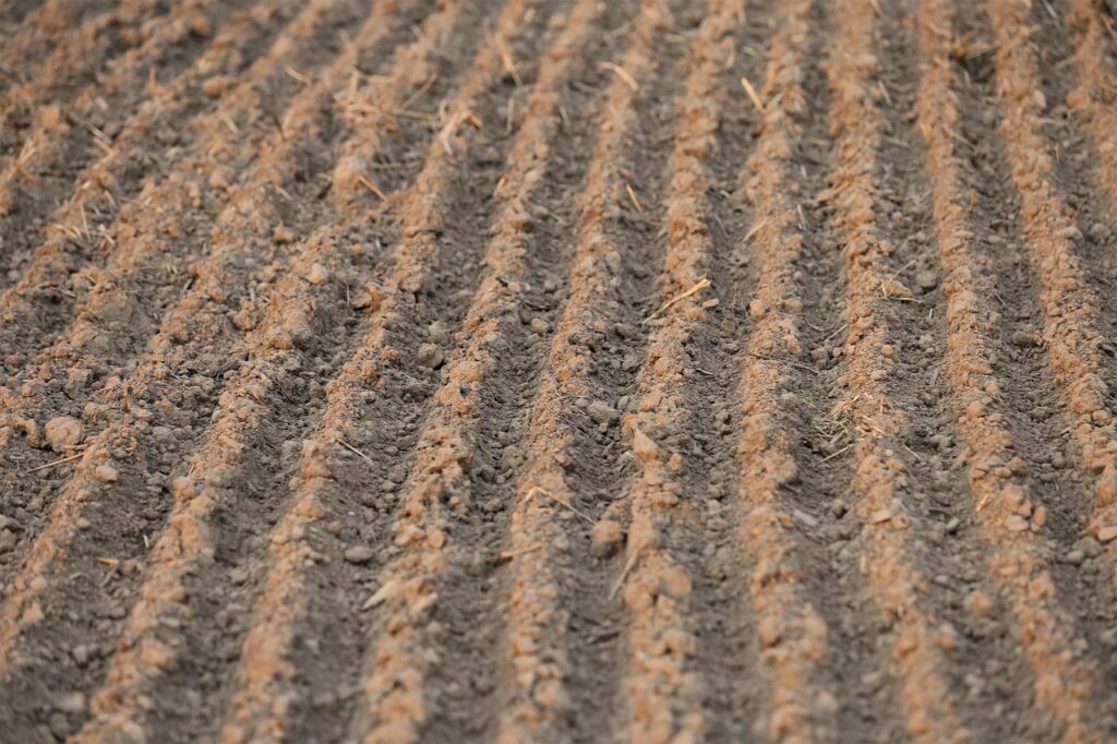 waonの還元率はどのくらいお得なのか？