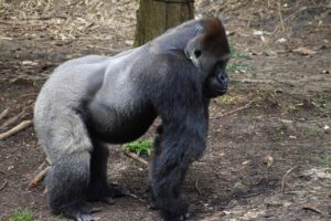 高還元カードの2025年度最新情報は何ですか？