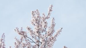 高還元カードのお得な使い方はこれだ！あなたにぴったりの方法は？